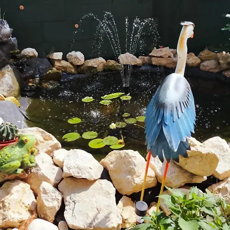 Casa Veseliei Pensionat Eforie Nord