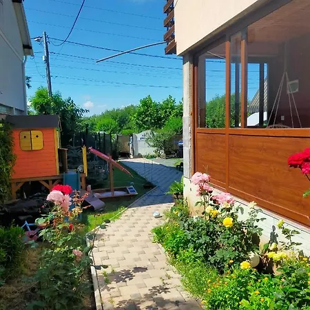 Pensionat Casa Veseliei 4*