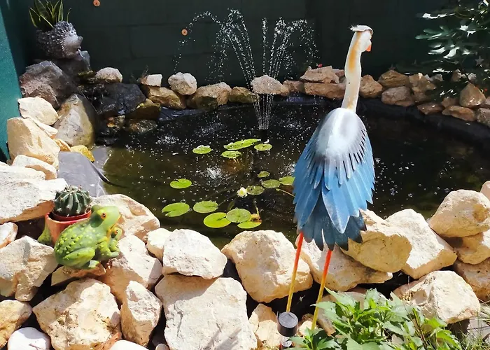 Casa Veseliei Pensiune Eforie Nord